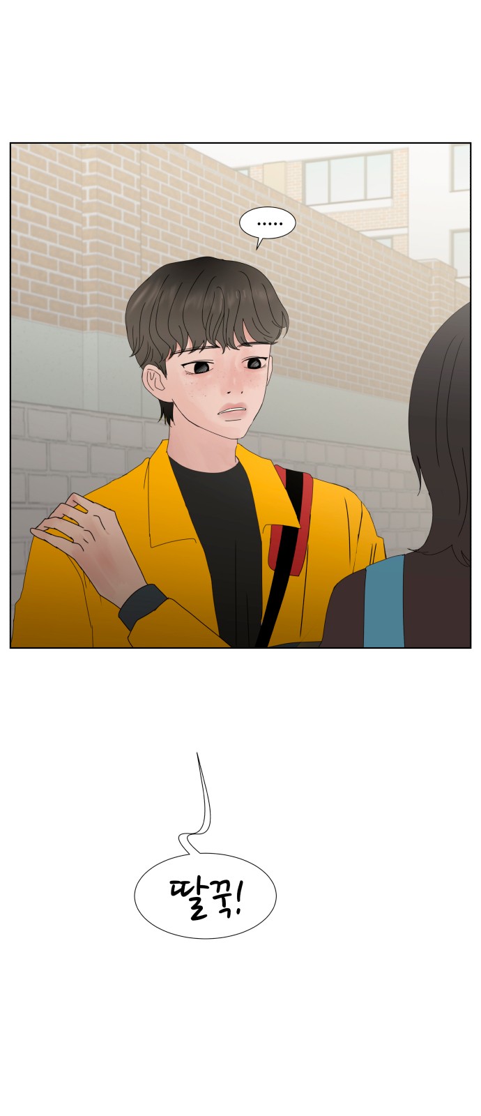 52 페이지