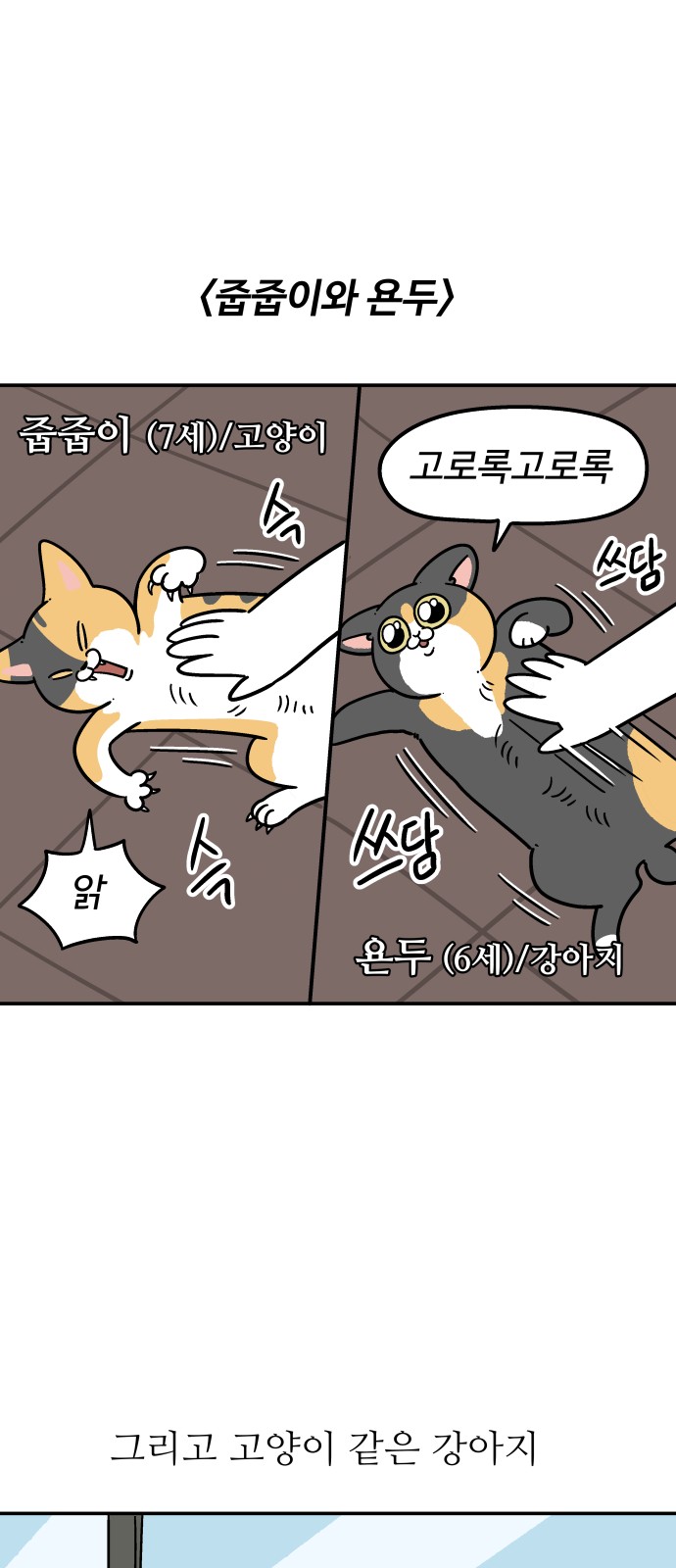 14 페이지
