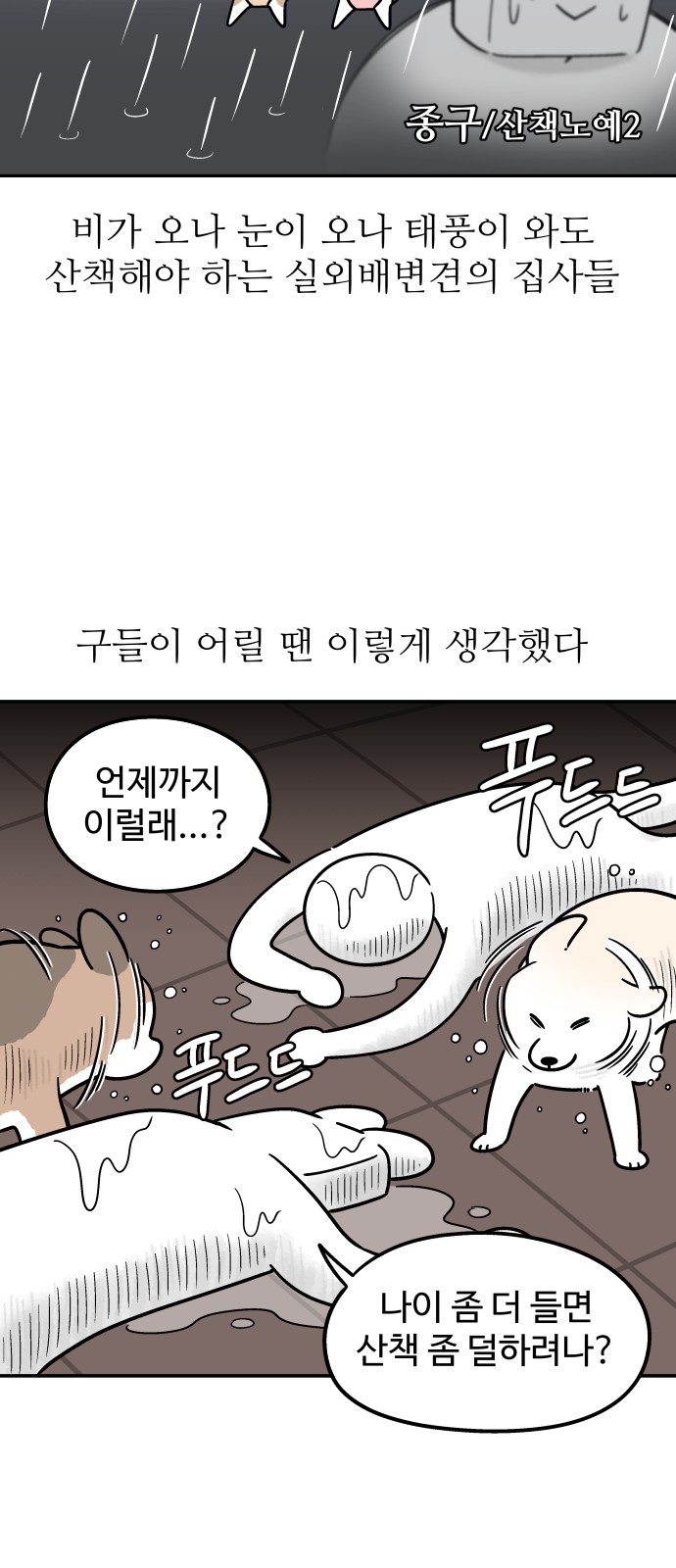 16 페이지