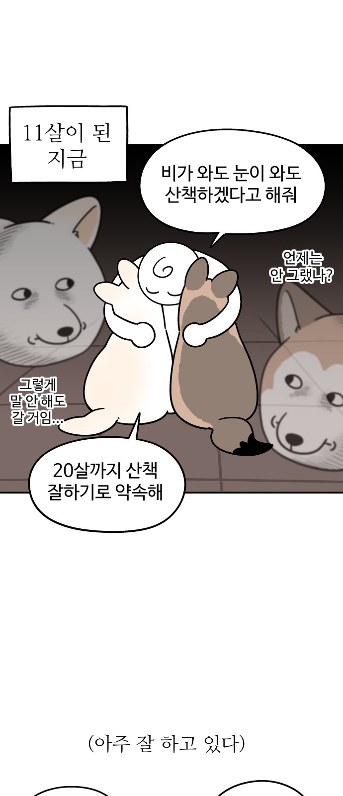 17 페이지