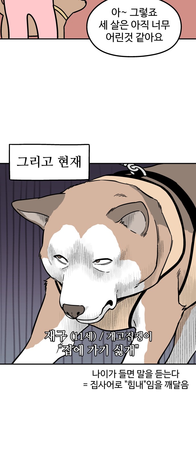 5 페이지