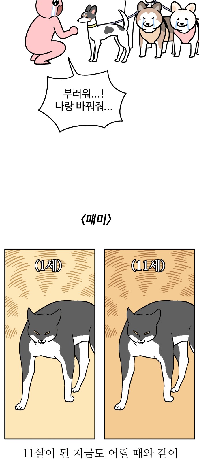 10 페이지