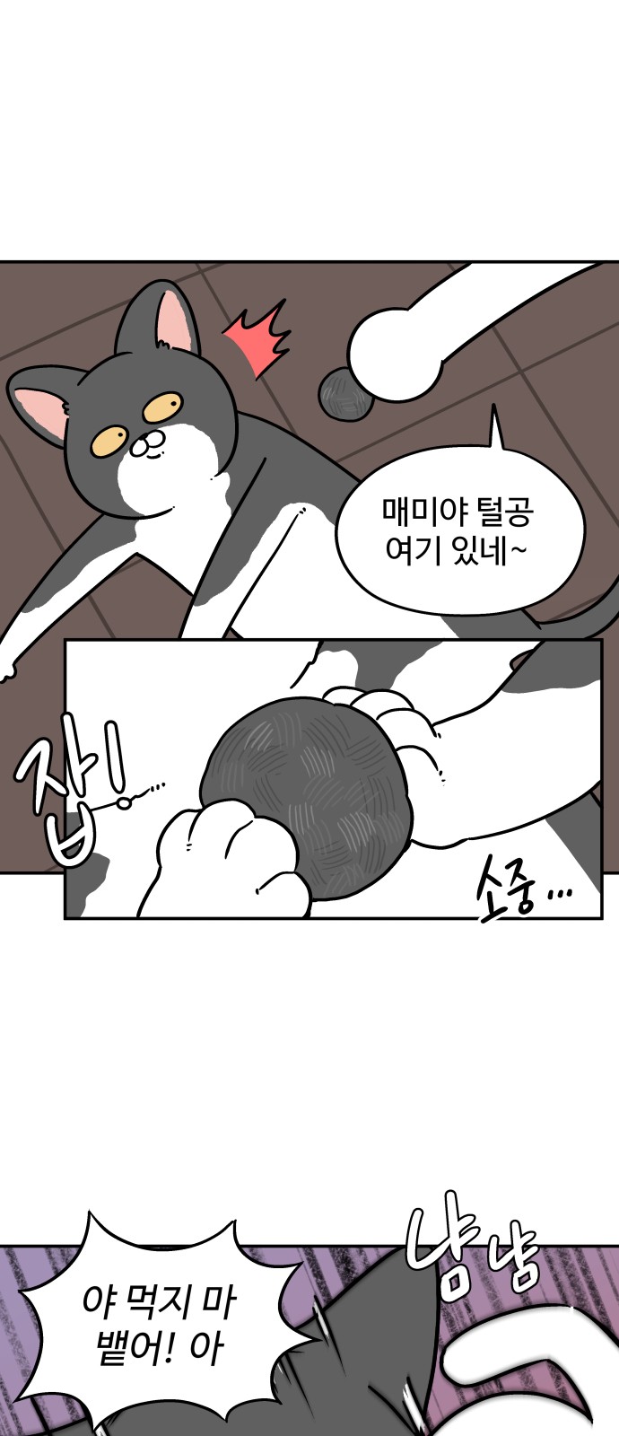 16 페이지