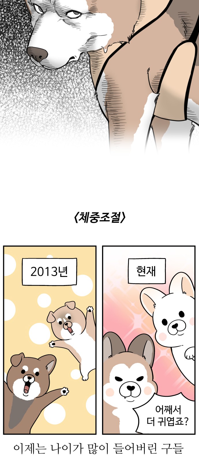 9 페이지