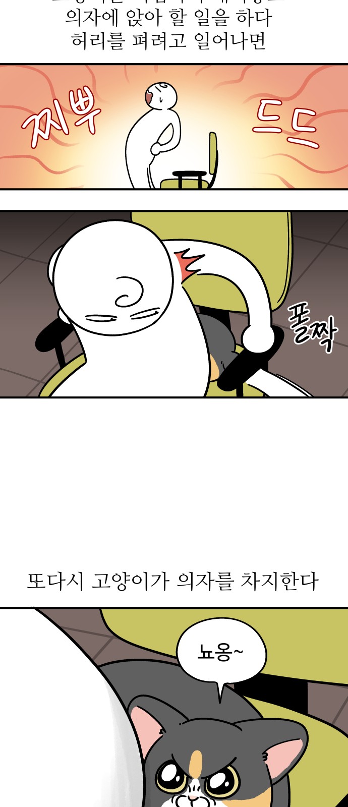 11 페이지