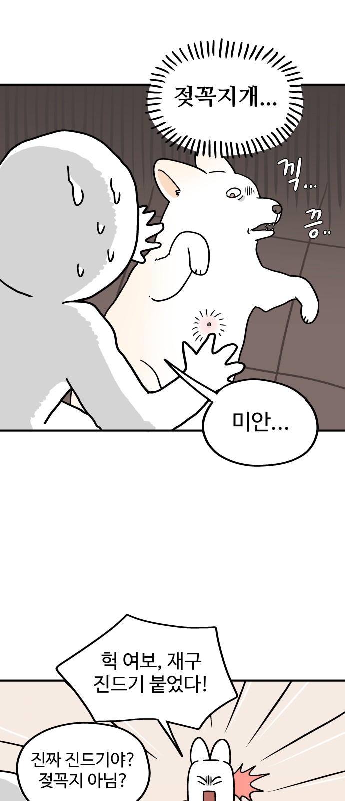 5 페이지