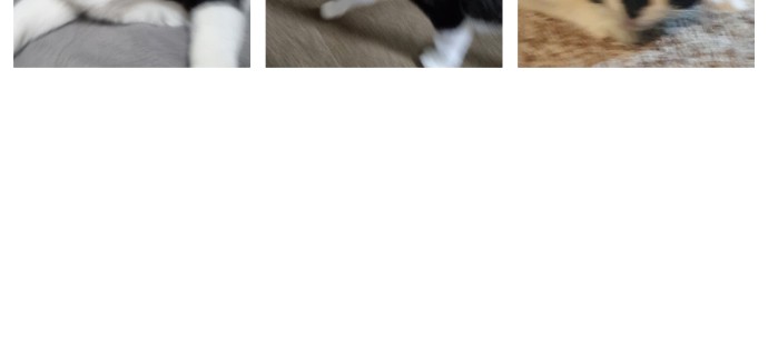 21 페이지