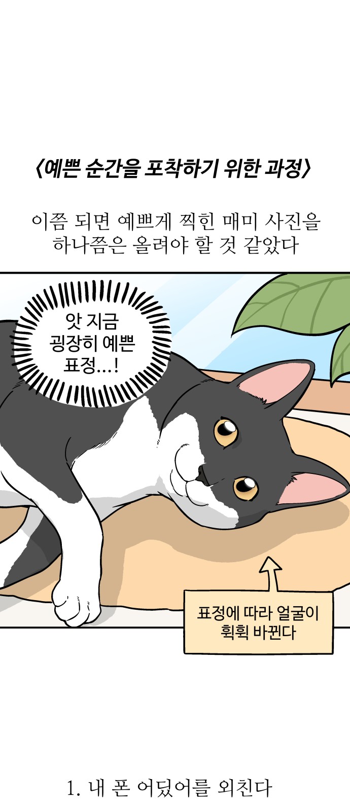 10 페이지