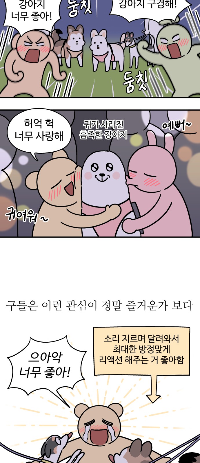 14 페이지