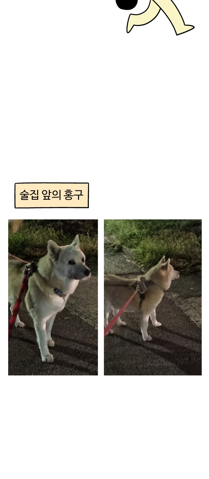 18 페이지