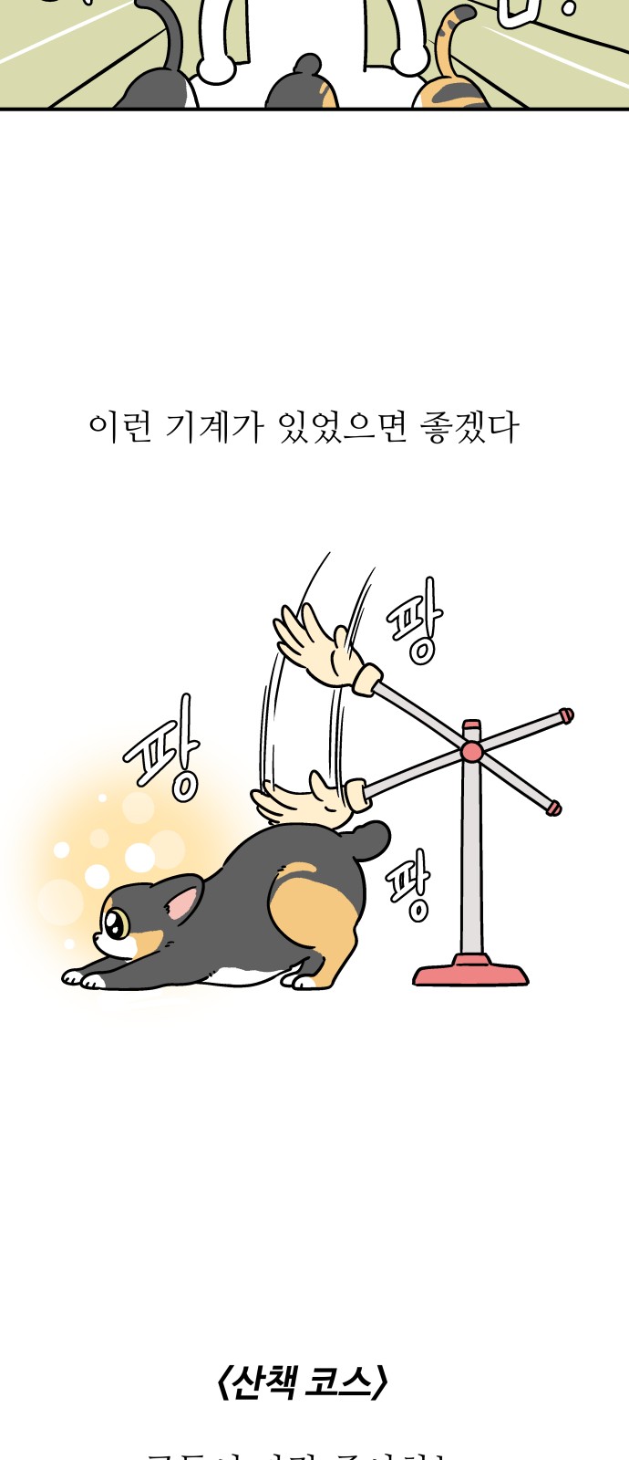 10 페이지