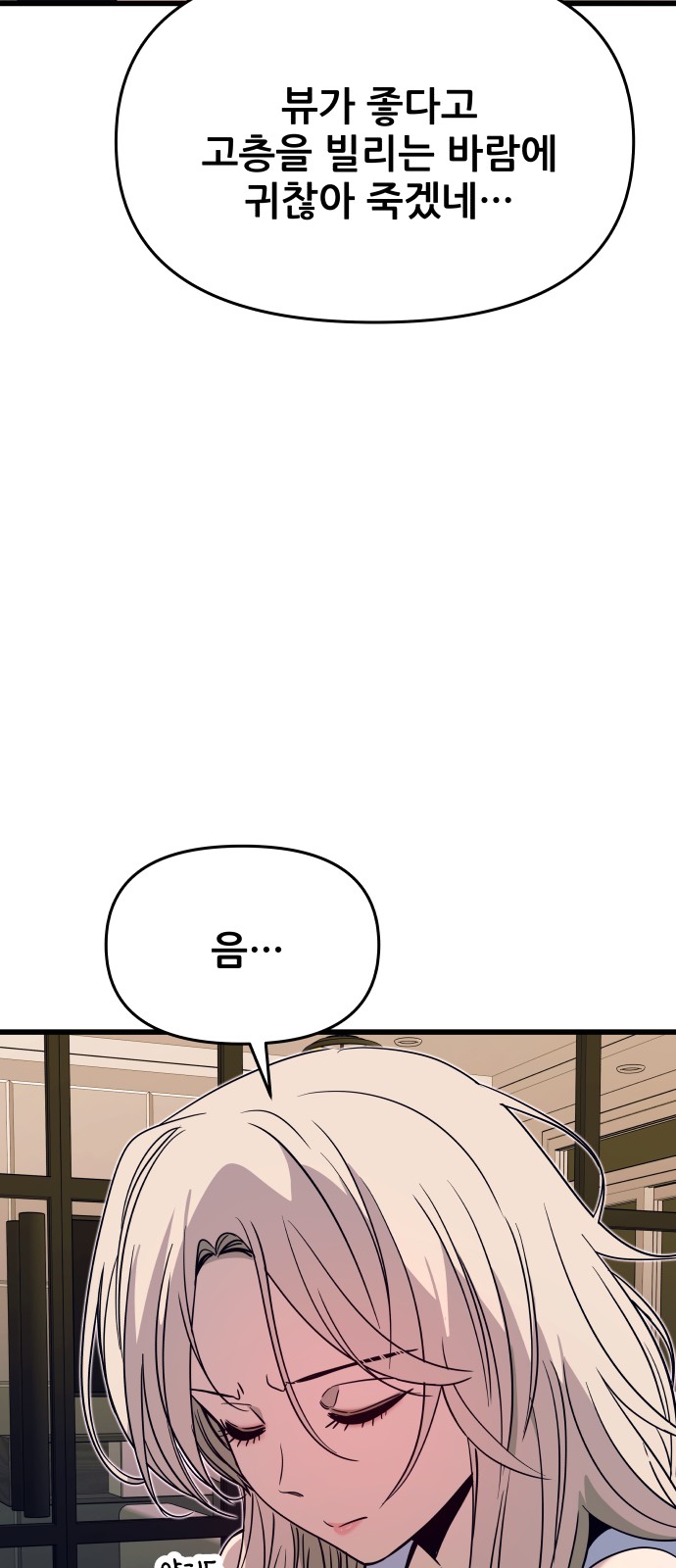 113 페이지