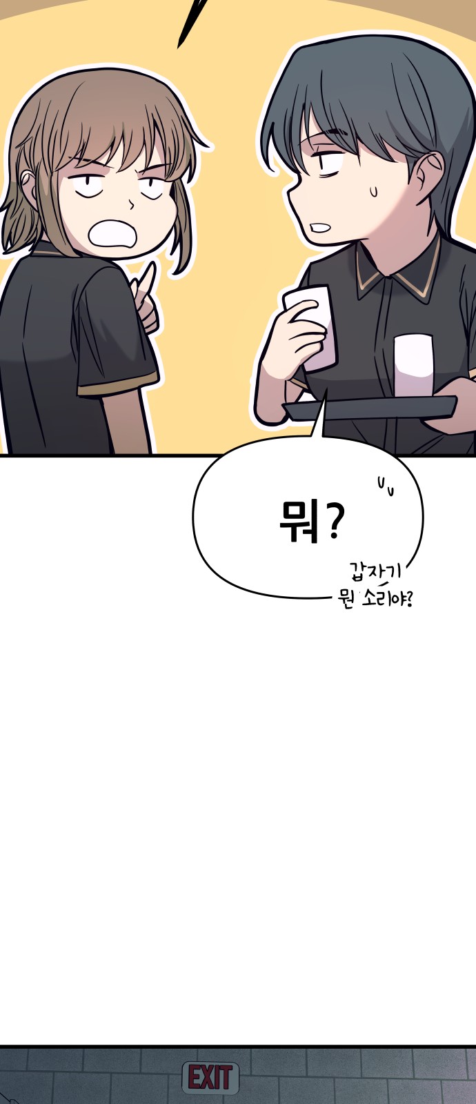 46 페이지