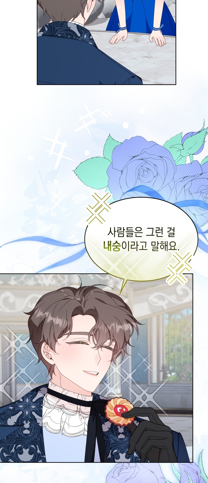 48 페이지