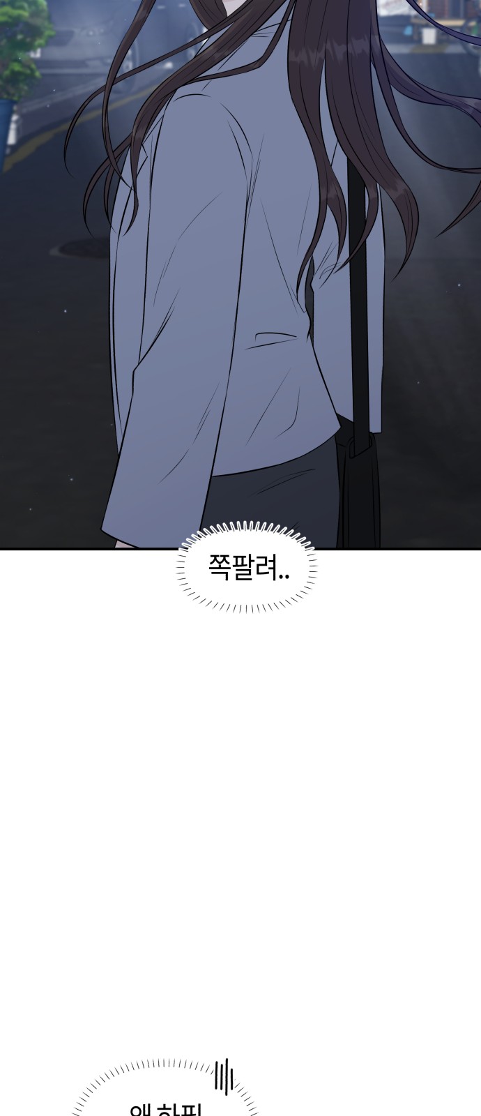 85 페이지