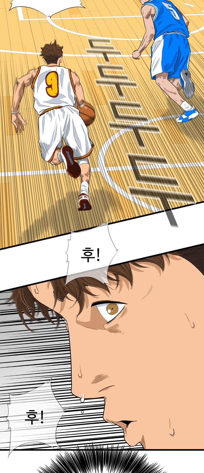 16 페이지