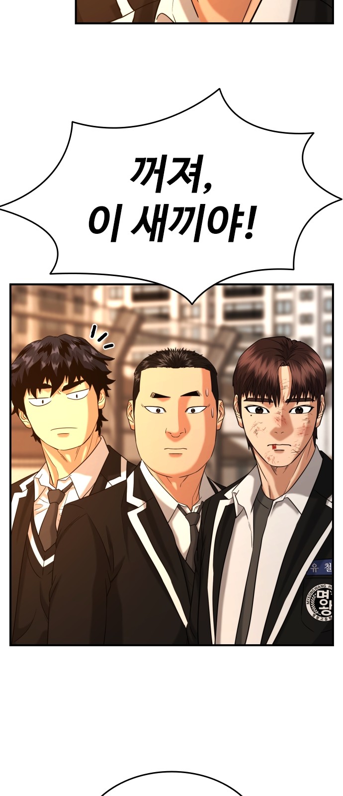 17 페이지