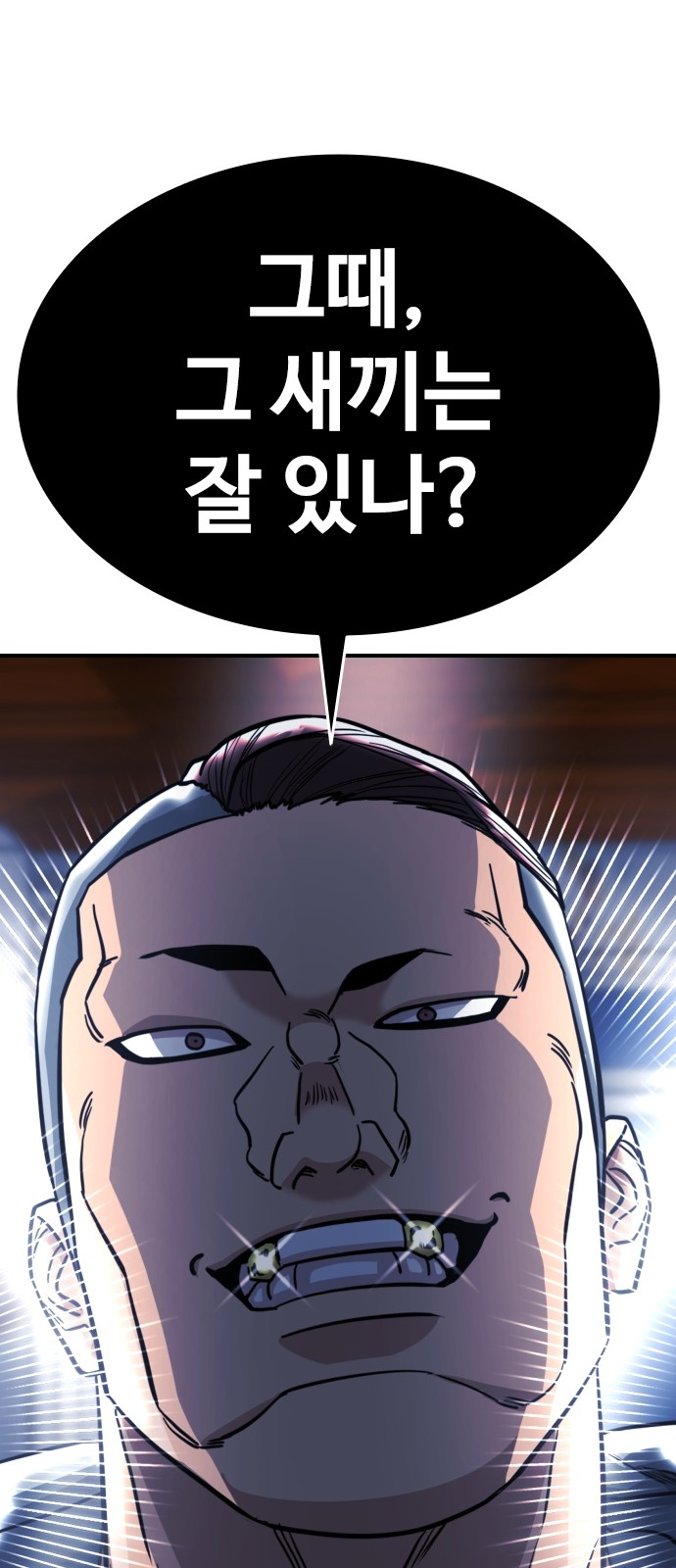 100 페이지