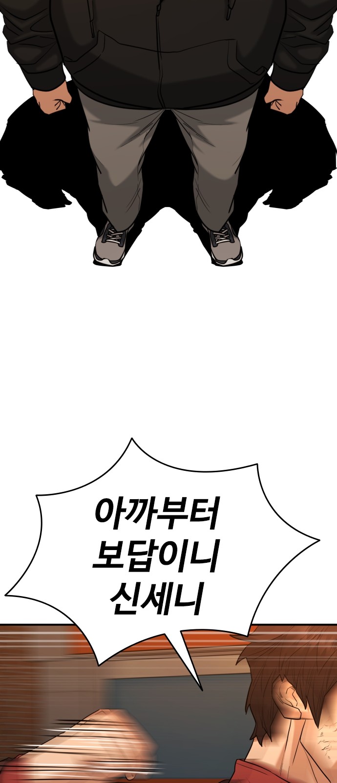 46 페이지