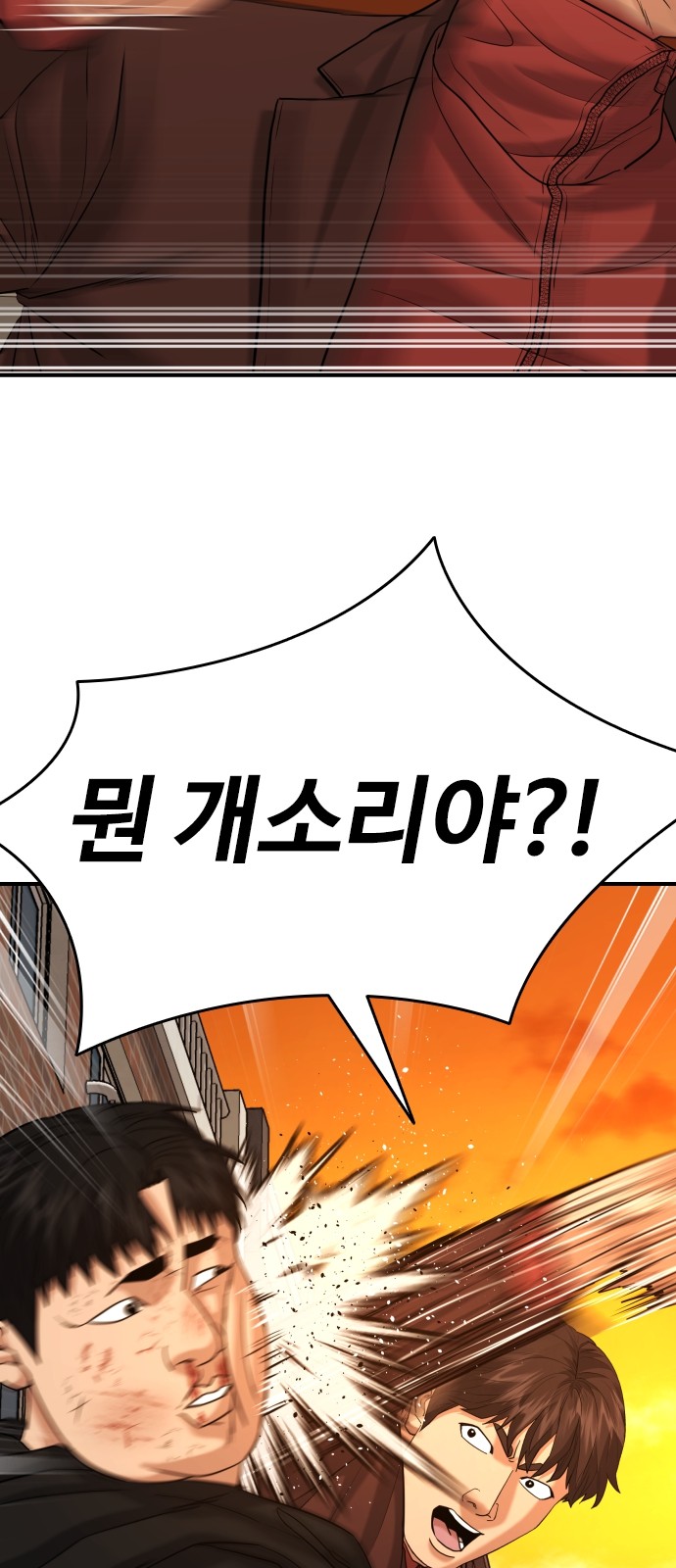 47 페이지
