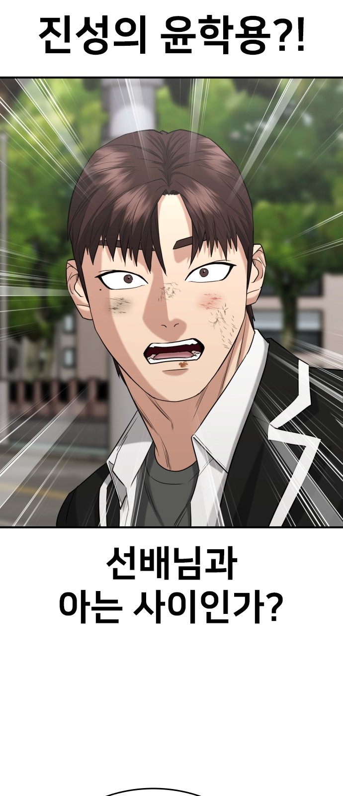 82 페이지