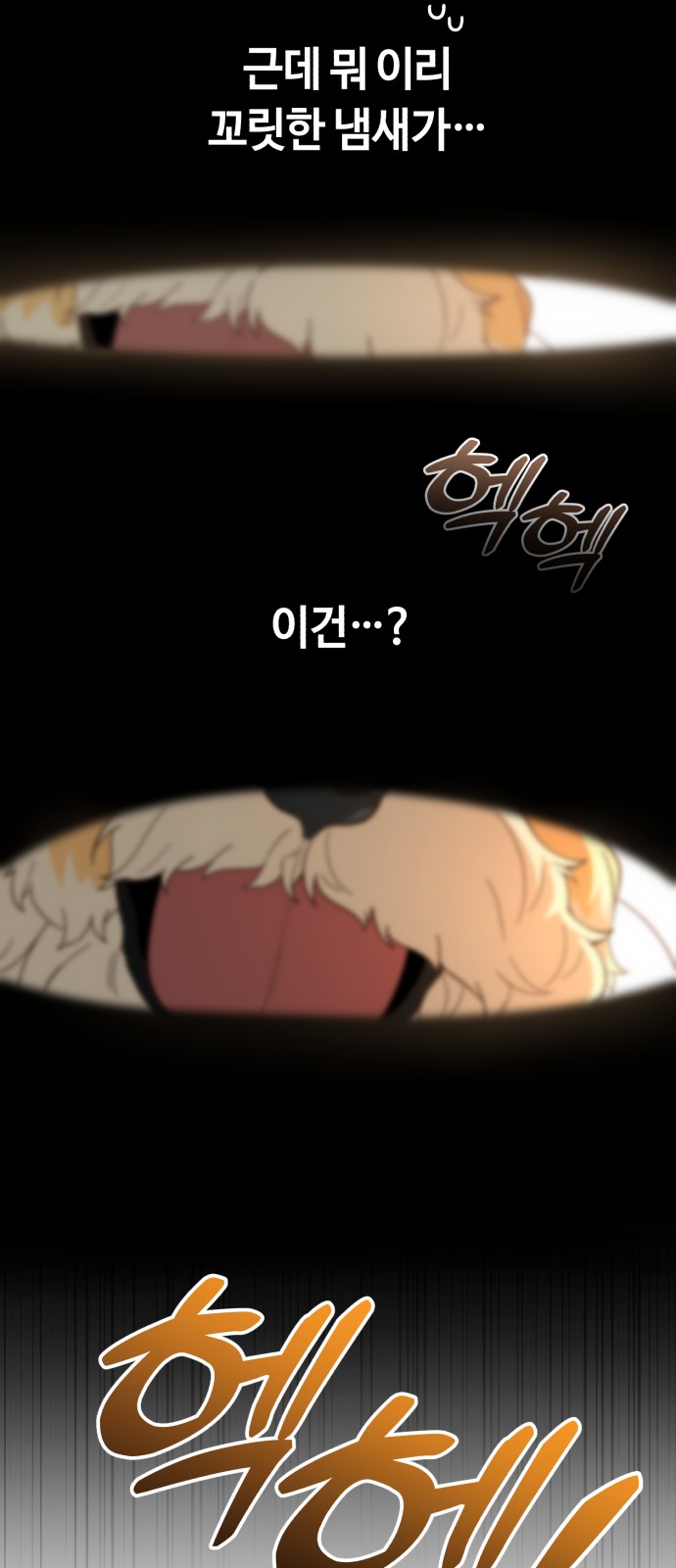 51 페이지