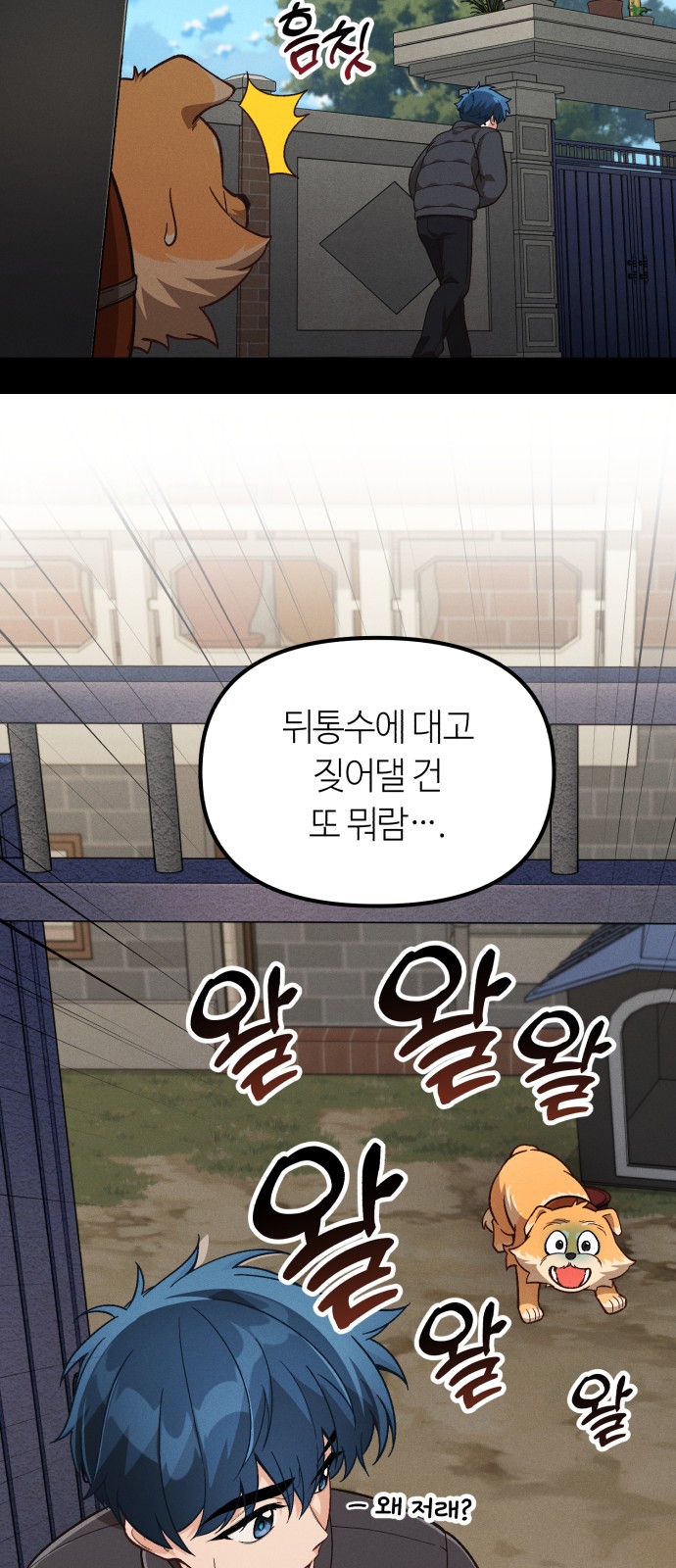 61 페이지
