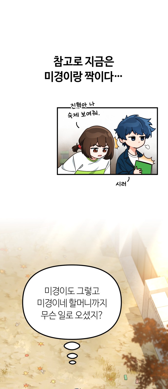 13 페이지