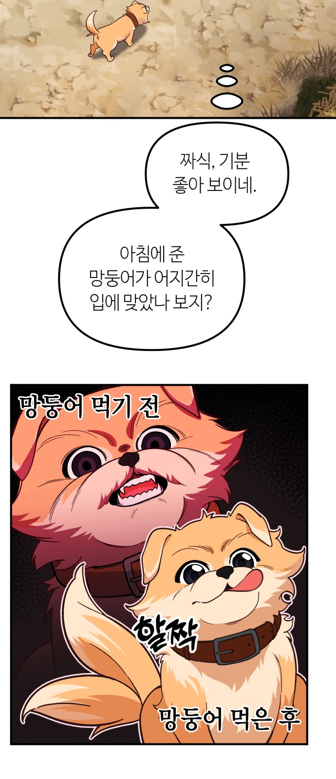 43 페이지