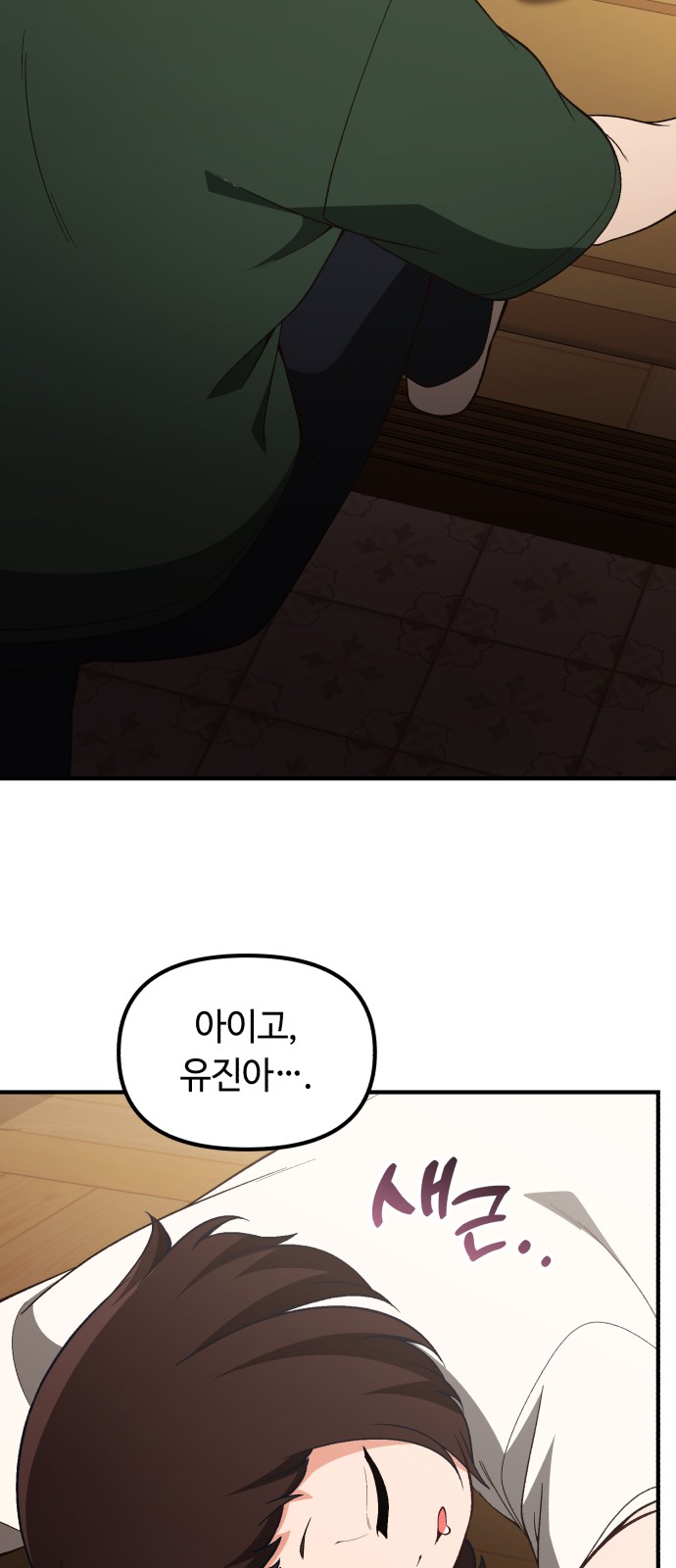 66 페이지