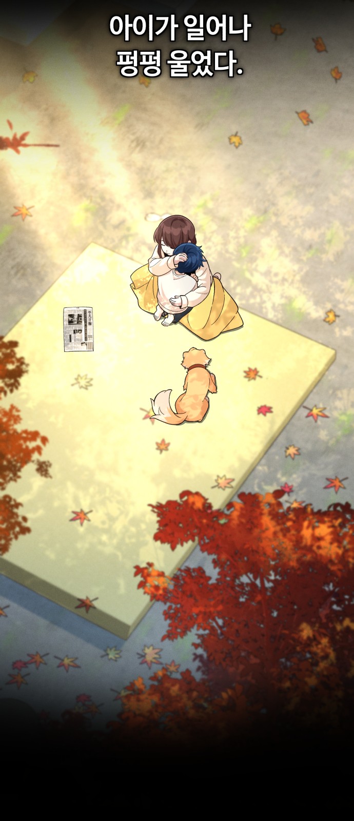 11 페이지