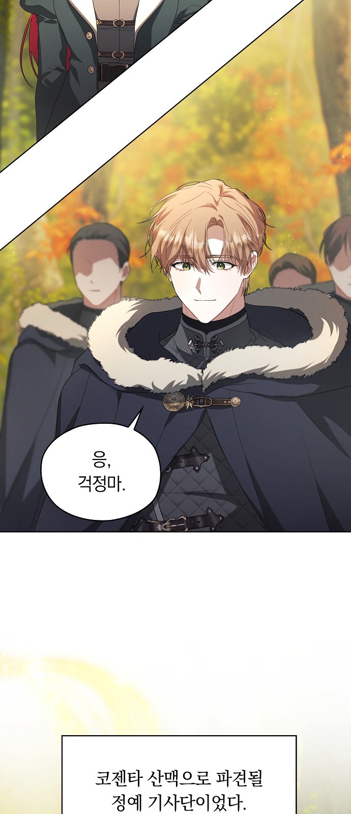 71 페이지