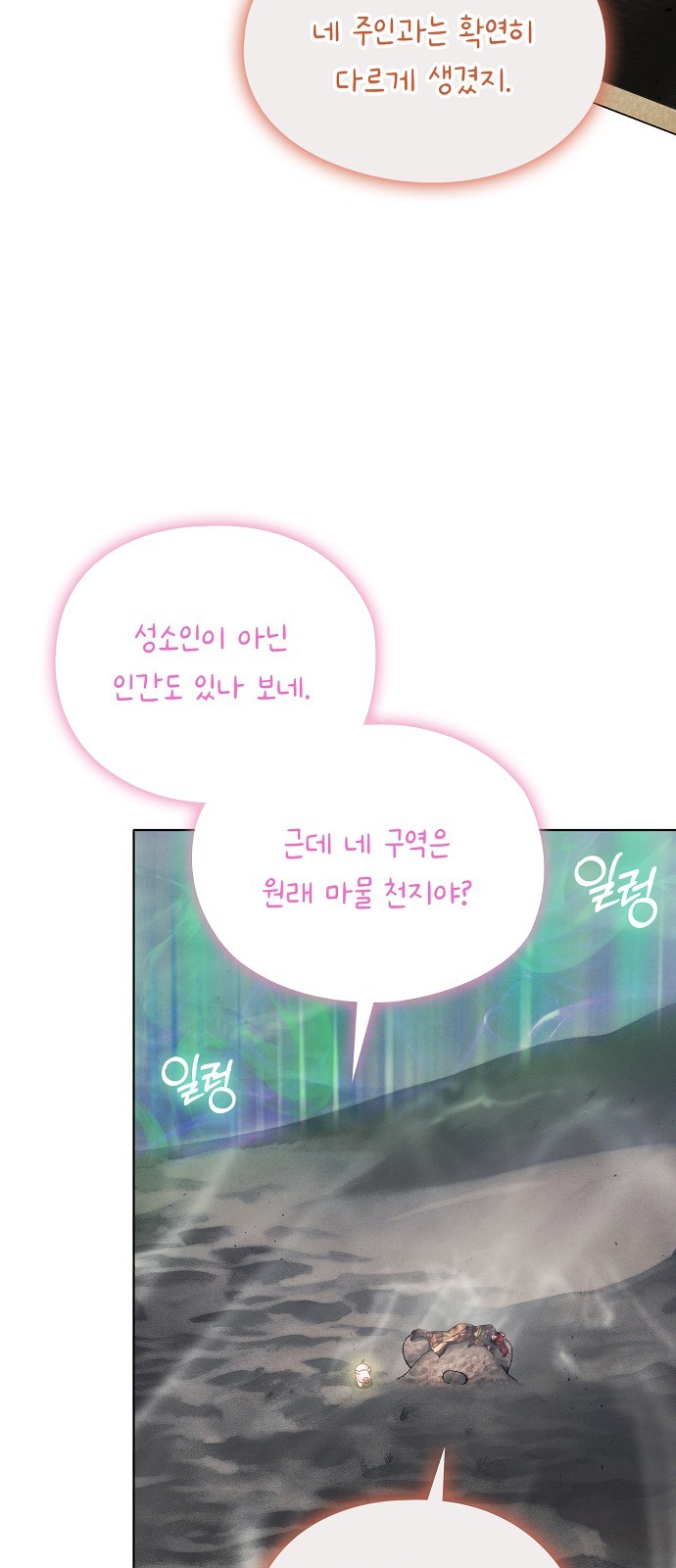 51 페이지
