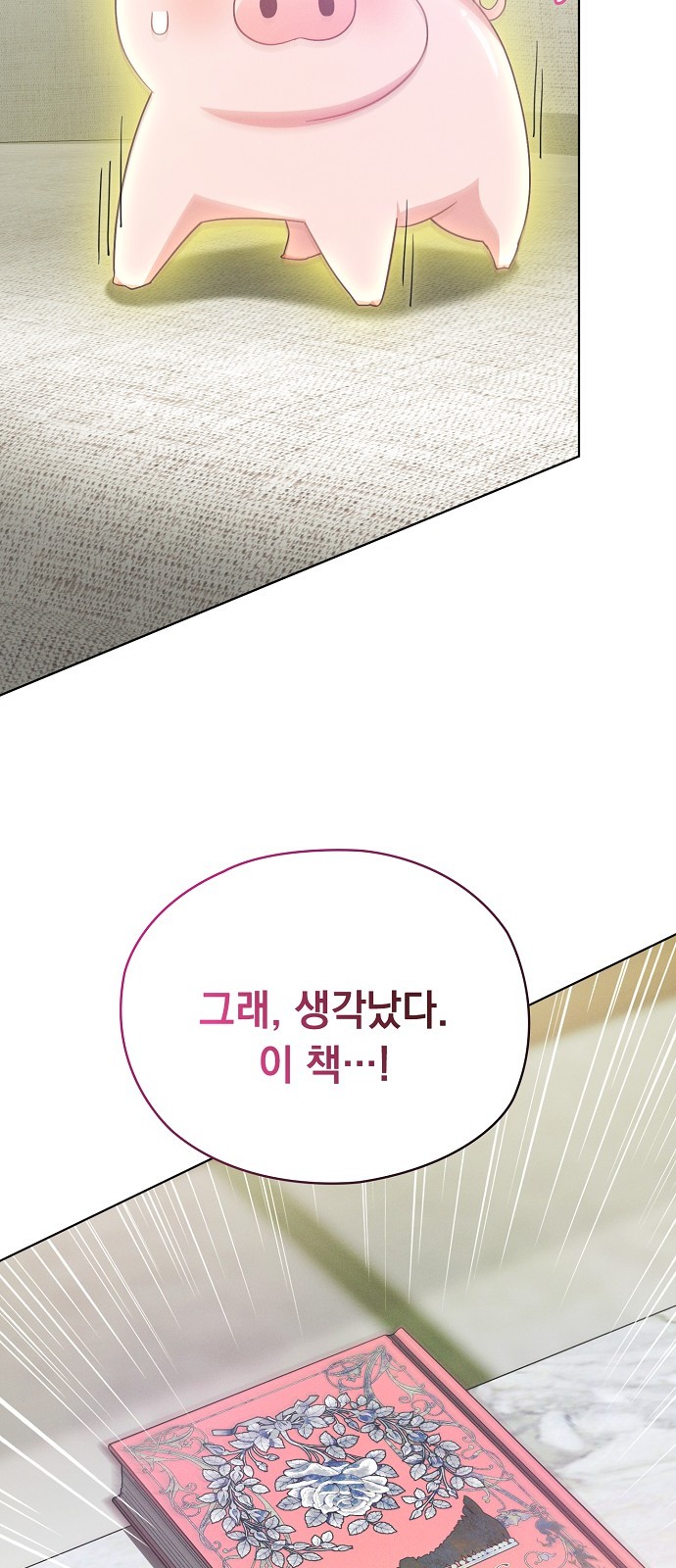 66 페이지