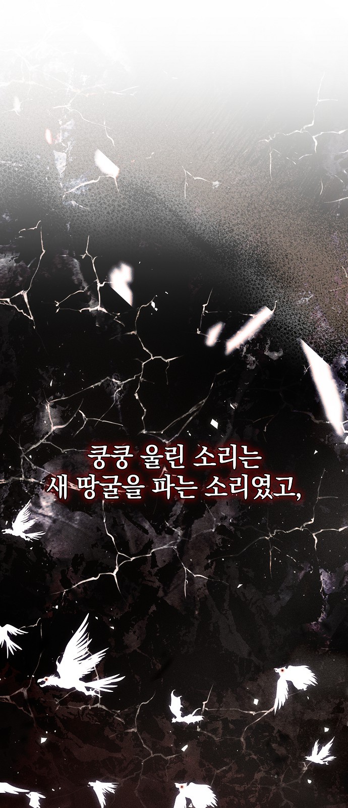 66 페이지