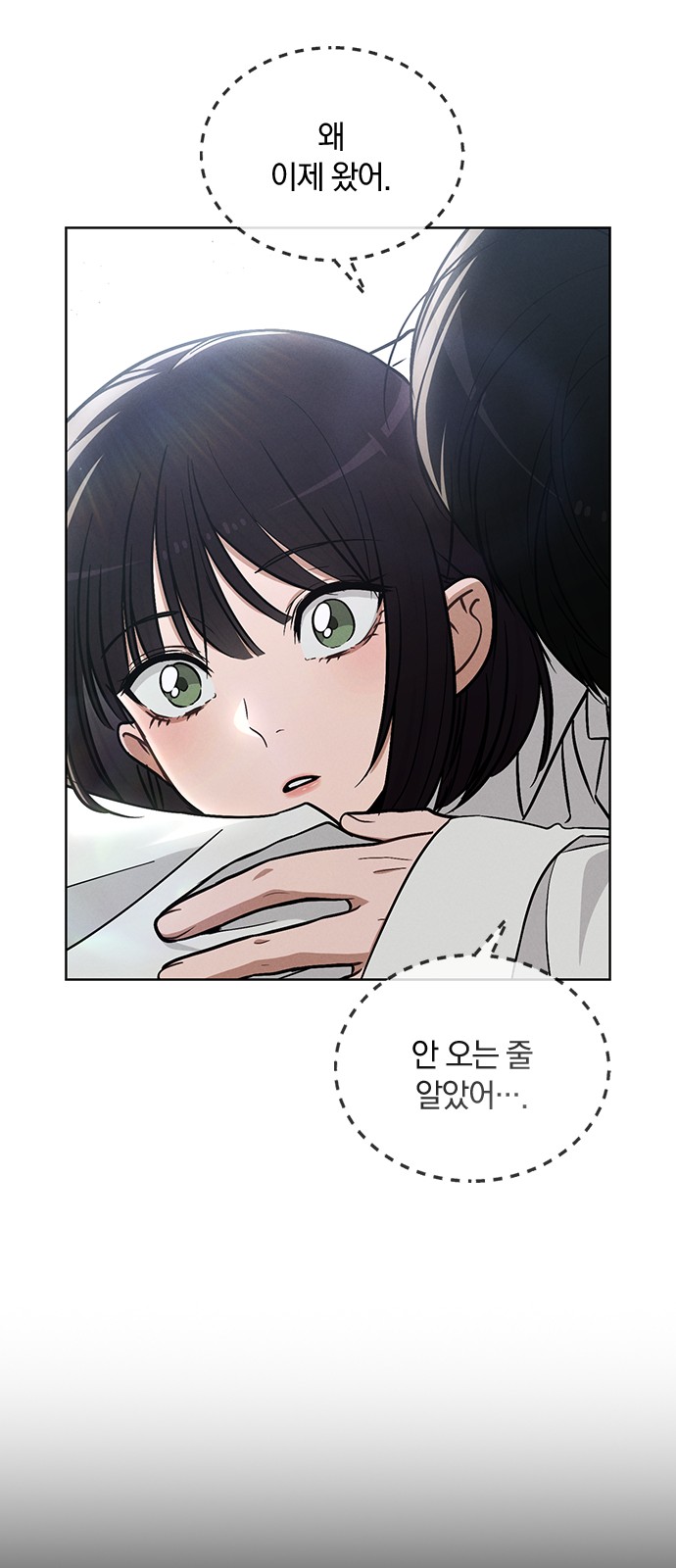 85 페이지