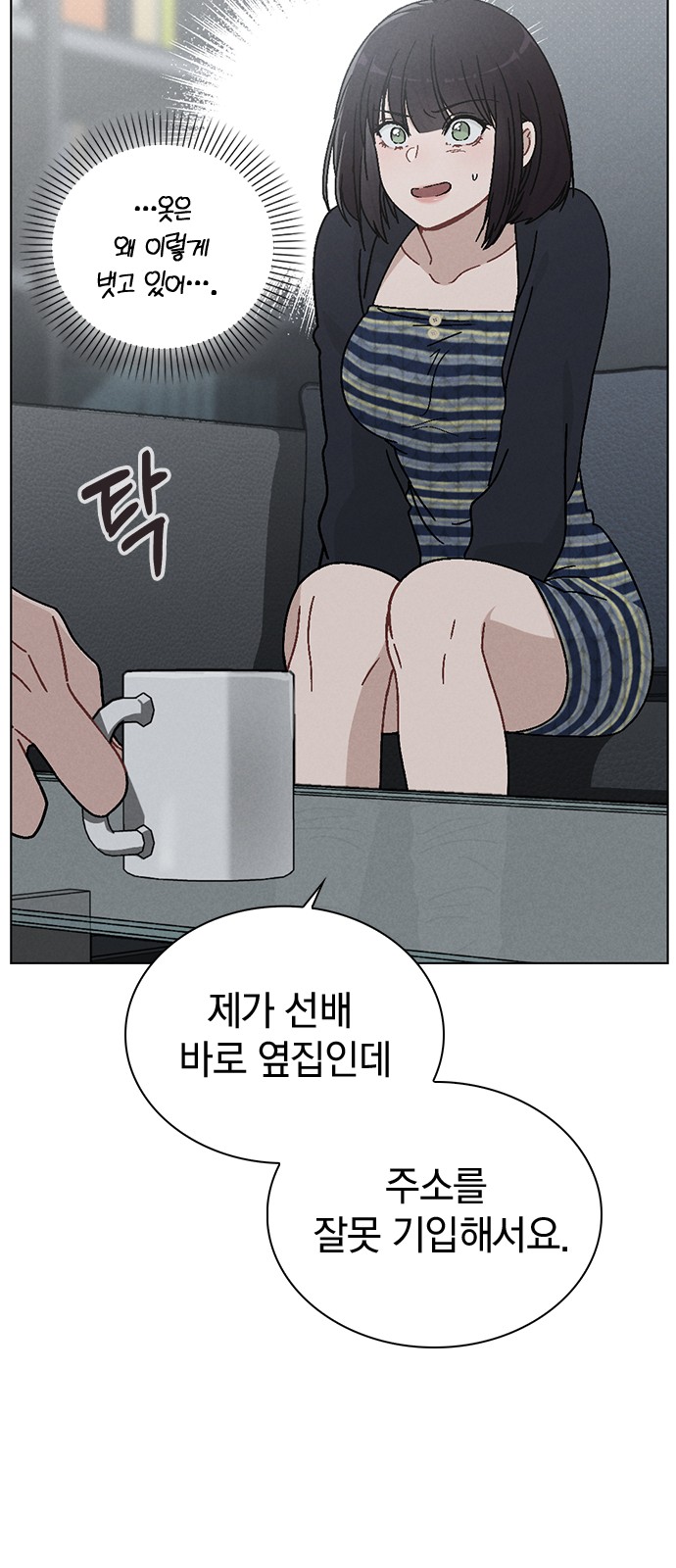 48 페이지