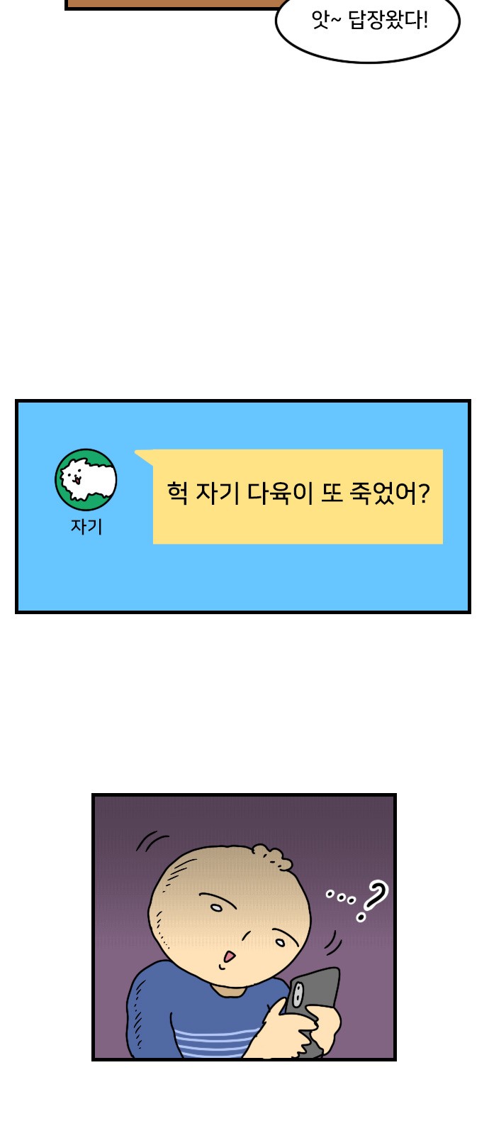 15 페이지