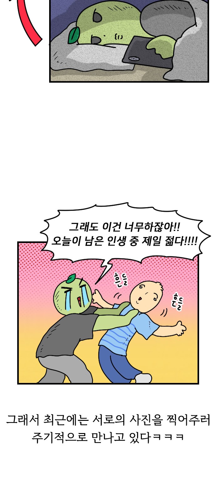 15 페이지