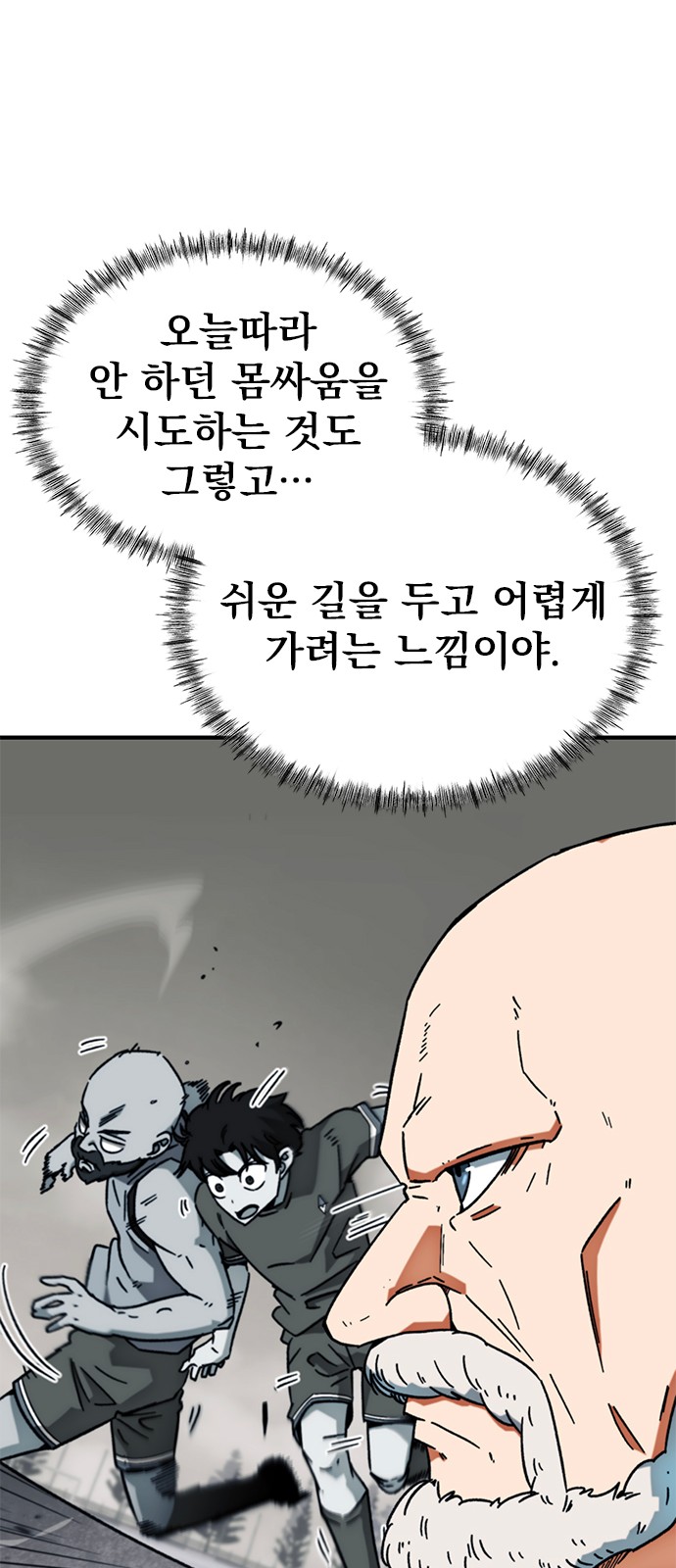 66 페이지