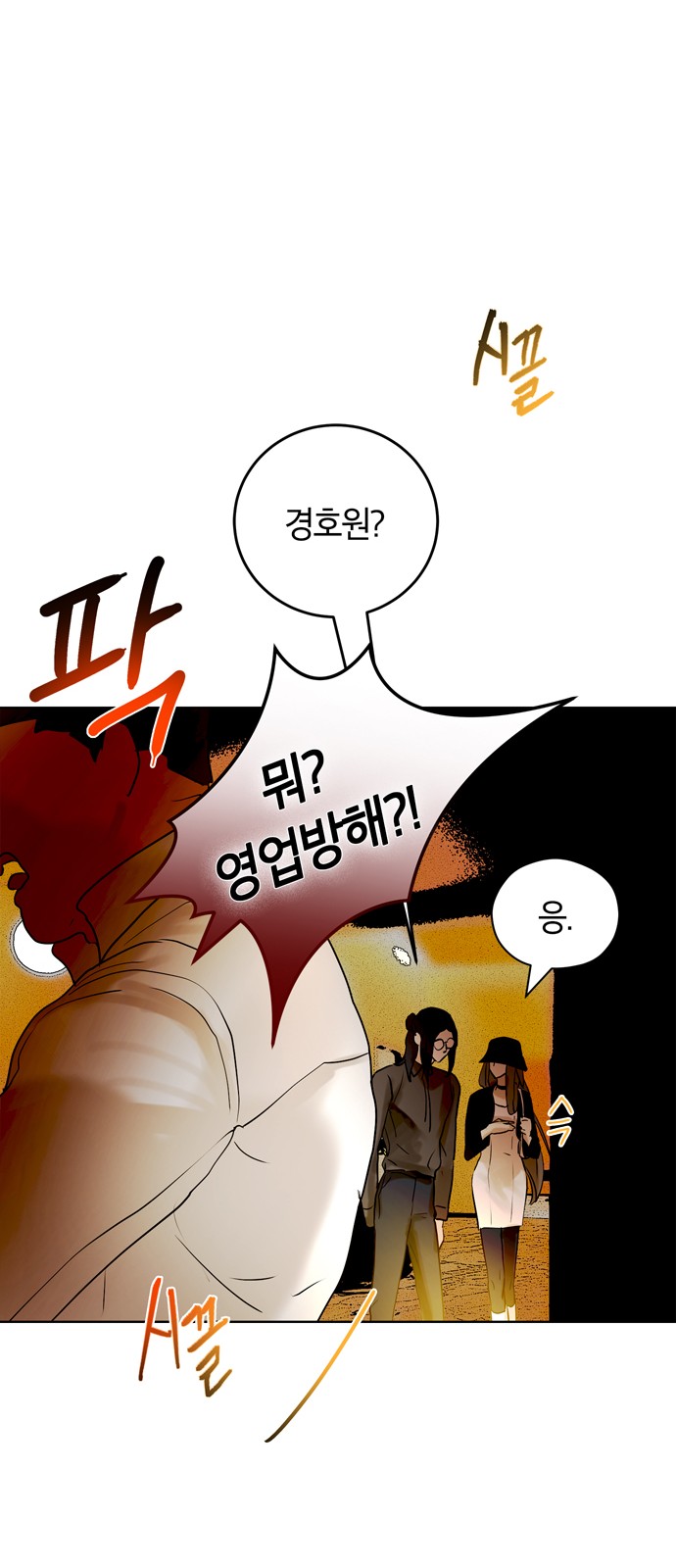 46 페이지