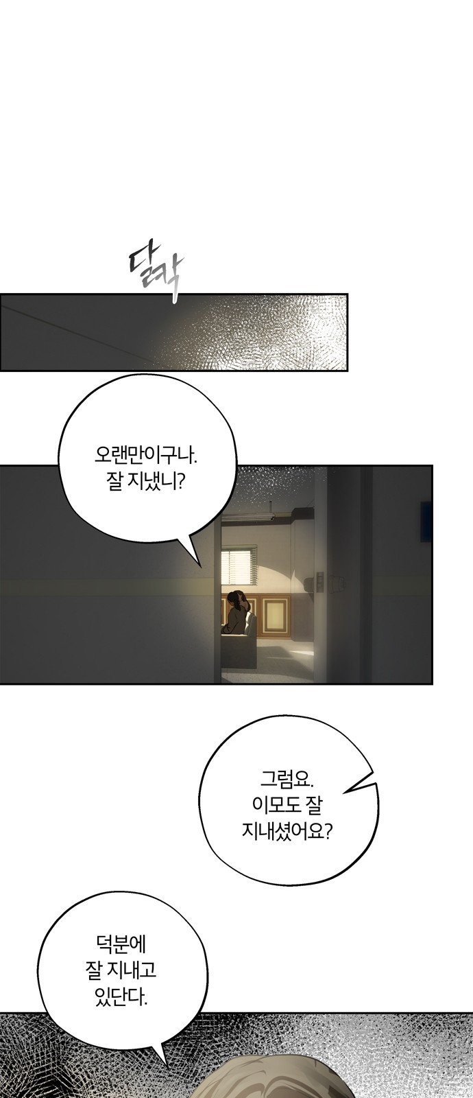 46 페이지