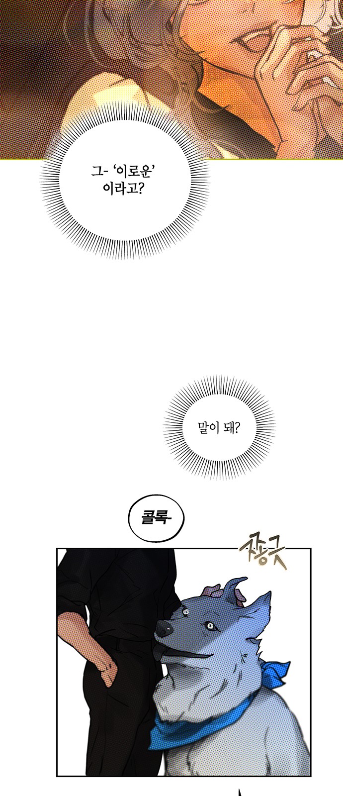 17 페이지