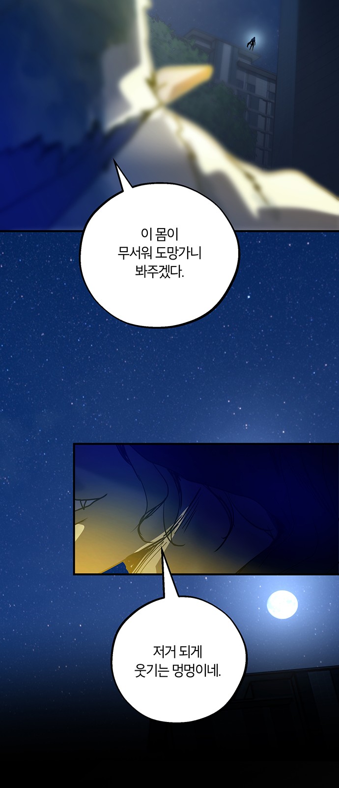 66 페이지