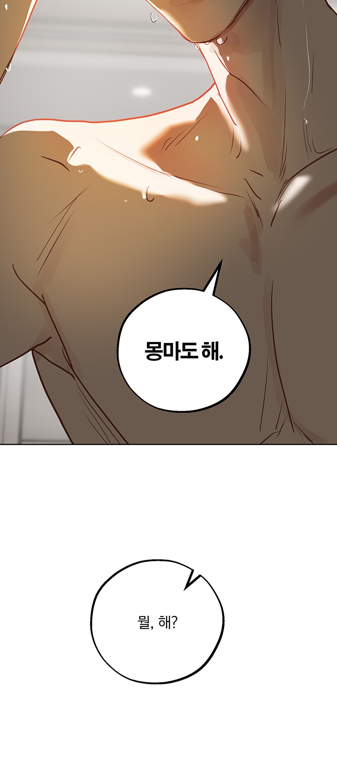 68 페이지