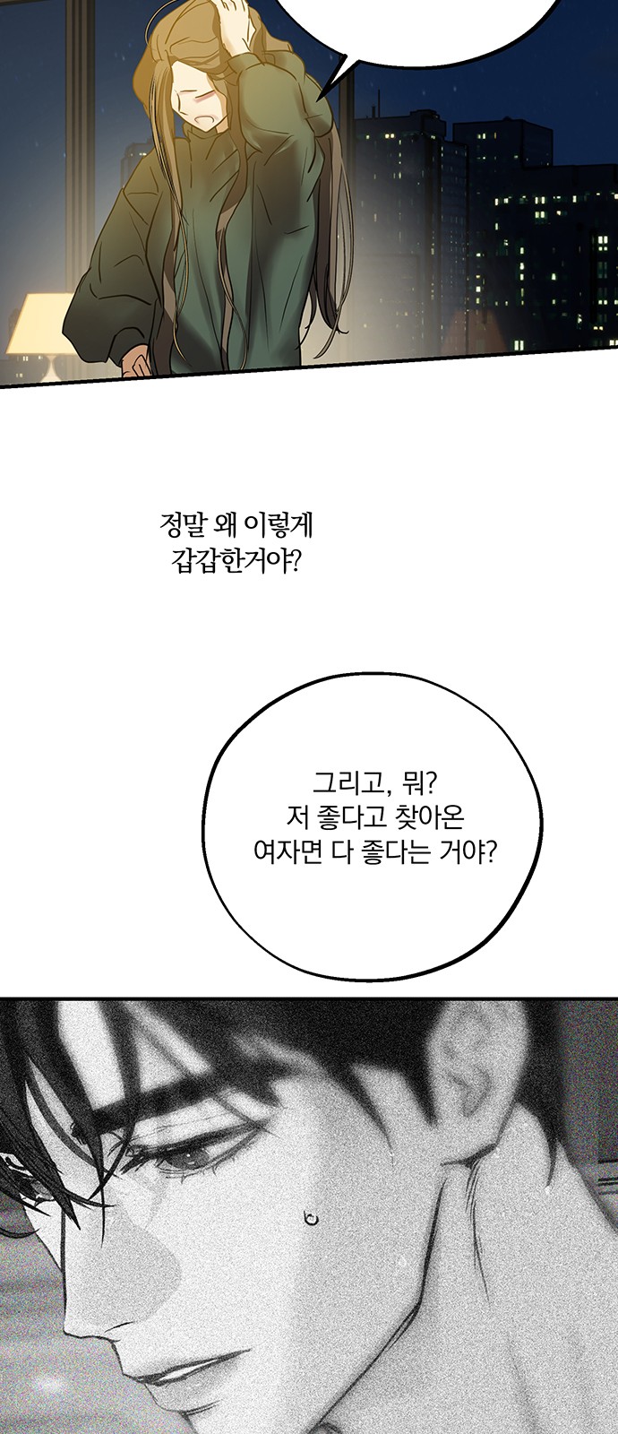 52 페이지