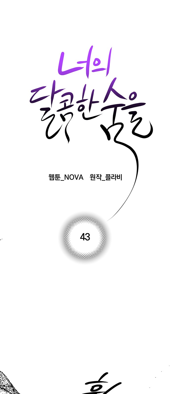 26 페이지
