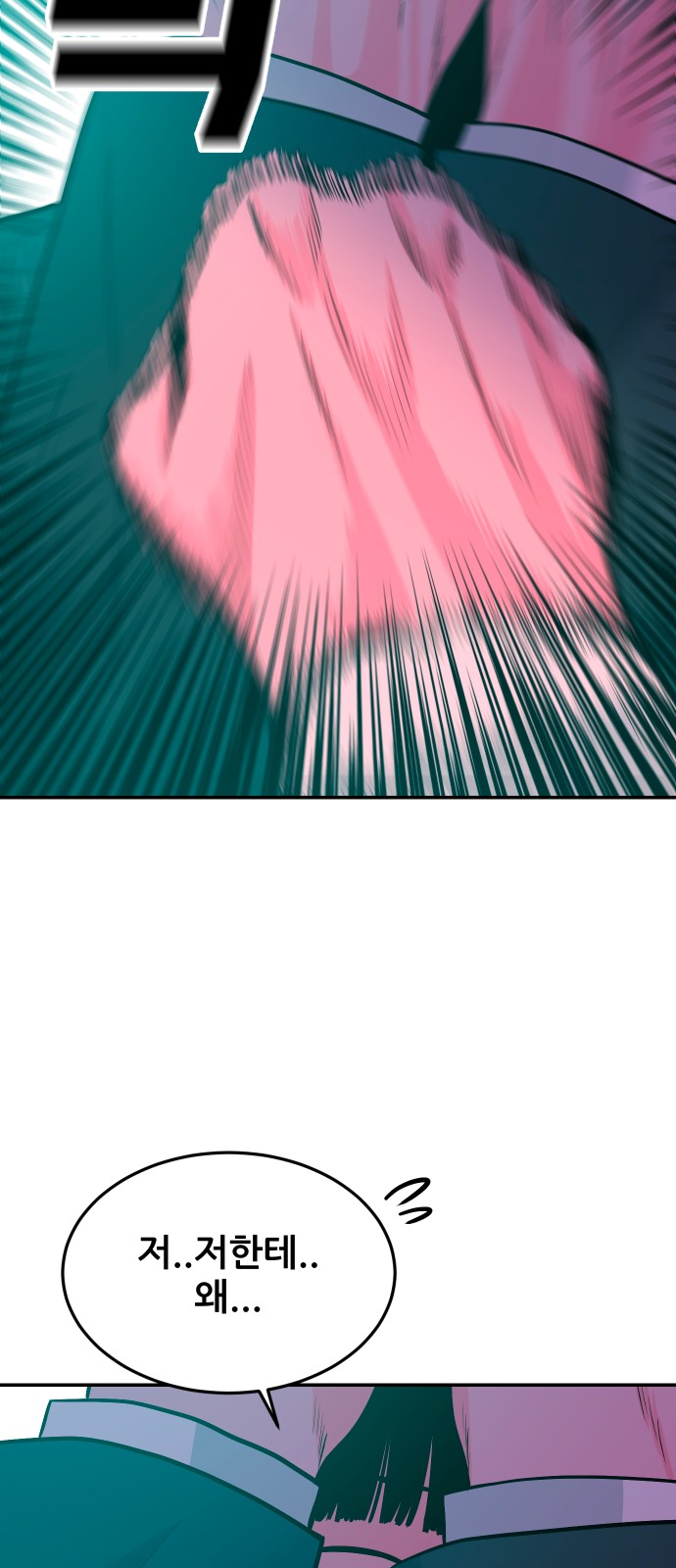 110 페이지