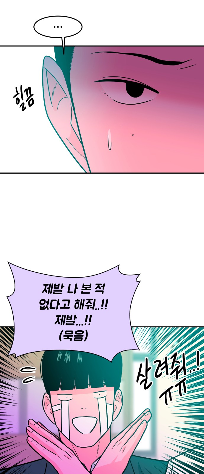48 페이지