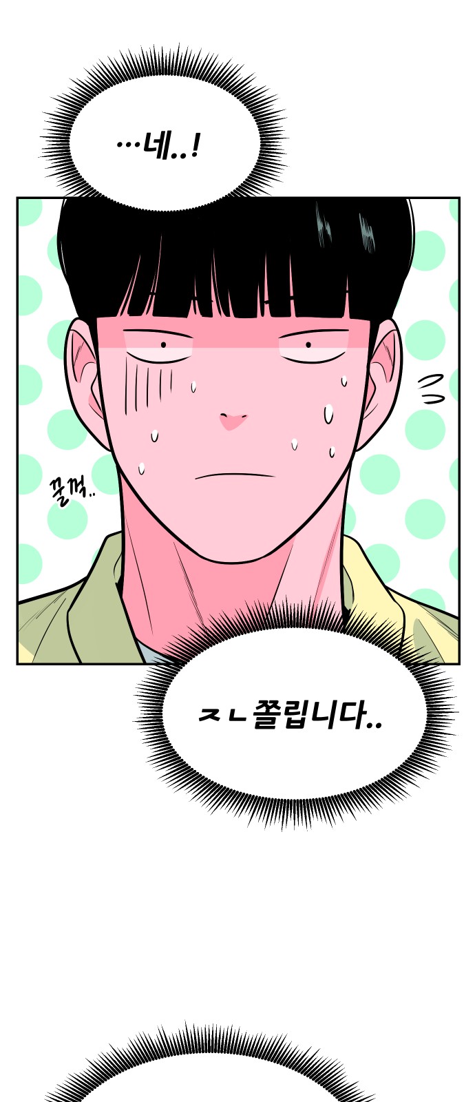 13 페이지